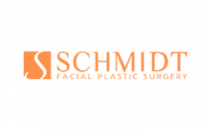kinsey & company client logo - schmidt